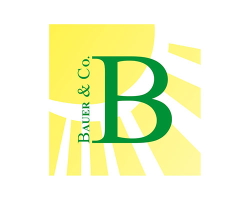 Brand logo for Bauer & Co.: a large green letter B over a pale yellow sunburst background.